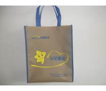 無紡布袋 綠色環保新選擇，產品庫里的多功能明星