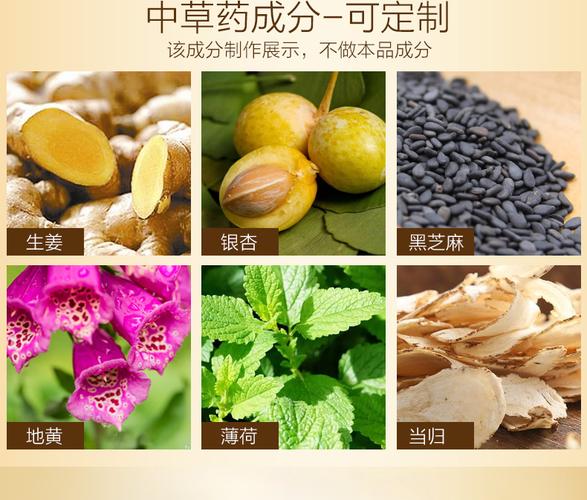 洗發水代加工生姜防脫育發液中草藥去屑止癢控油洗發露oem洗護廠
